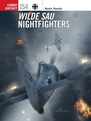 cover image of Wilde Sau Nightfighters